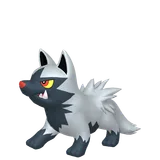 Poochyena