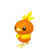 Torchic